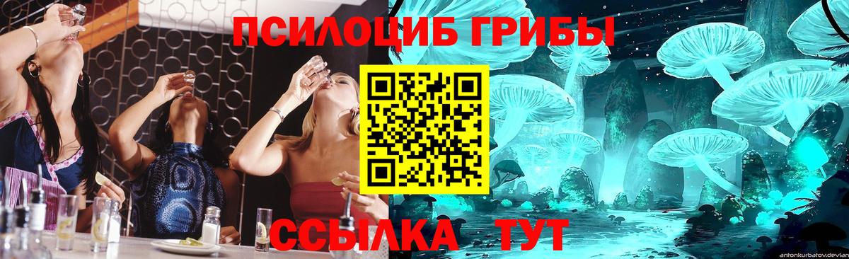 Галлюциногенные грибы прущие грибы  Вход с VPN  Донецк 