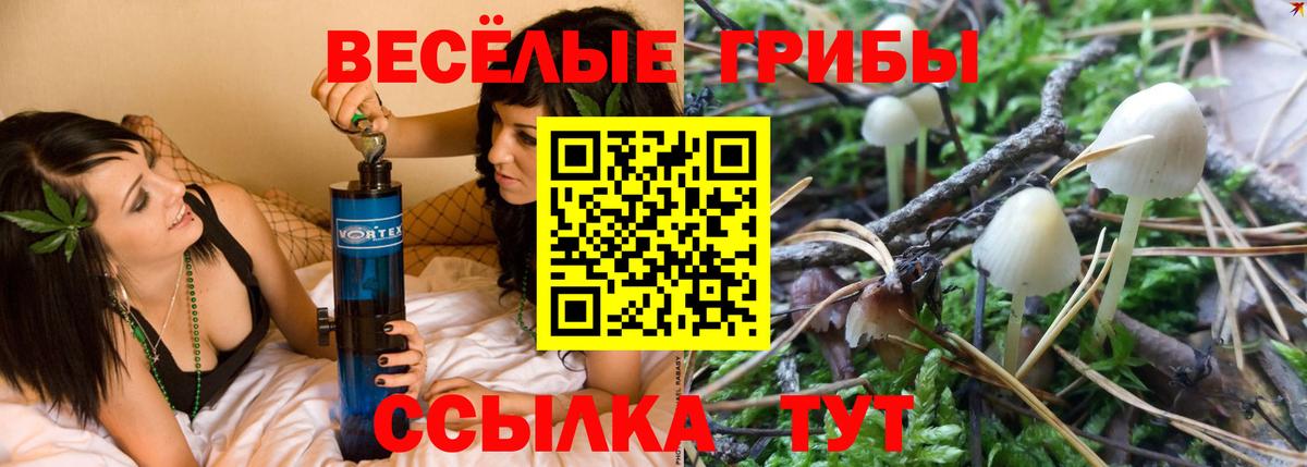 Псилоцибиновые грибы мицелий Донецк